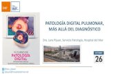 PATOLOGÍA DIGITAL PULMONAR, MÁS ALLÁ DEL DIAGNÓSTICO · FIBROBRONCOSCOPIA EXPERIENCIA EN PATOLOGÍA PULMONAR TIPOS DE MUESTRAS EN PATOLOGÍA PULMONAR: Carcinoma de pulmón Carcinoma