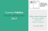 Cuenta Pública Medio Ambiente Moyra Rojas Tamborino 2017 ...publico.mma.gob.cl/cuentapublica/doc/2017/Presentacion-cuenta-pu… · • Celebración Día de la Fauna Embajador de