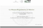 La Mejora Regulatoria en México - osinerg.gob.pe€¦ · V. Si las regulaciones generan trámites, éstos se publican en el RFTS. Proceso de Mejora Regulatoria . Consulta Pública