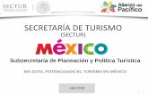 SECRETARÍA DE TURISMO - Gob€¦ · Financiación de proyectos en el sector turístico Fomento de la innovación en el marco de un proyecto de colaboración público-privada Ayuda