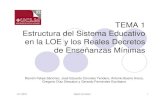 TEMA 1 Estructura del Sistema Educativo en la LOE y los ... · Estructura del Sistema Educativo en la LOE y los Reales Decretos de Enseñanzas Mínimas Ramón Felipe Sánchez, José