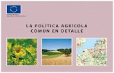 LA POLÍTICA AGRÍCOLA COMÚN EN DETALLE · LA POLÍTICA AGRÍCOLA COMÚN EN DETALLE Comisión Europea Agricultura y Desarrollo Rural. SI 0,4% NL 6,9% SE 1,3% IE 1,9% ES 12,7% PL