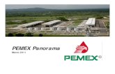 Encuentro con Inversionistas 3 marzo 2011 20110308 · Veracruz 0.2 0.2 0.2 Crudo y Gas Gas Producción por cuenca Total (2) 43.1 28.2 14.0 Equivalente a (años de producción)(2)