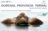 OURENSE, PROVINCIA TERMAL - turismo.gal€¦ · PLAN DE TURISMO TERMAL PARA A PROVINCIA DE OURENSE 3 PRESENTACIÓN DO PLAN O turismo termal en Galicia, no que se integra o turismo