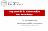 Impacto de la Vacunación Neumocócica Inmunidad de rebaño... · Departamento Salud Pública y Epidemiología Universidad de los Andes, Chile . Concepto de Inmunidad de rebaño.