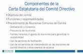 Componentes de la Carta Estatutaria del Comité Directivocommunity.valleyair.org/media/1051/charter-emission... · 2019-01-15 · respaldar al comité directivo en la organización