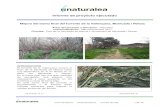 Informe de proyecto ejecutado - Naturalea€¦ · Informe de proyecto ejecutado Mejora del tramo final del torrente de la Vallençana, Montcada i Reixac Autor del proyecto y ejecución: