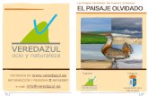 Las Estepas Cerealistas del Jarama y el Henares EL PAISAJE … estepa... · 2018-02-01 · Las estepas albergan una rica avifauna. Entre las rapaces destacar; al cernícalo primilla