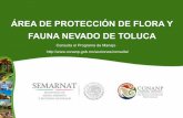 ÁREA DE PROTECCIÓN DE FLORA Y FAUNA NEVADO DE TOLUCA · de Flora y Fauna “Nevado de Toluca”, definiendo además su situación actual y problemática. Hace énfasis en la relevancia