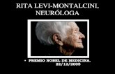 RITA LEVI-MONTALCINI, NEURÓLOGA - Fumgeront · destruyendo cerebros! Mucha gente se jubila, y se abandona ... mueran neuronas, las restantes se reorganizan para mantener las mismas