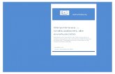 Directrices Indicadores de evaluaciónmgd.redrta.org/.../g_01_d05_directrices_indicadores.pdf · 2017-08-11 · Indicadores de eficacia: indican el nivel de consecución de objetivos