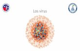 Los virus · 2020-03-31 · •Los virus son mucho más pequeños que las bacterias, por lo que se necesitan microscopios especiales para verlos. •El primer virus que se observó