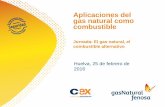 Aplicaciones del gas natural como combustiblegasnam.es/wp-content/uploads/2016/03/GNS-Huelva-Gasnam... · 2018-10-29 · Jornada: El gas natural, el combustible alternativo Huelva,