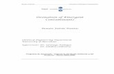 Ozonation of Emergent Contaminants - UBdiposit.ub.edu/dspace/bitstream/2445/35410/1/01.RFD_TESIS_1.pdf · Renato F. Dantas Ozonation of Emergent Contaminants Acknowledgements 5 Acknowledgements