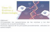 Clase 11: Enzimas y Biotecnología · 2020-05-05 · Objetivos: Comprender las características de las enzimas y los dos modelos de la acción enzimática. Conocer algunos de los