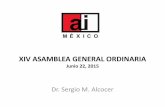 XIV ASAMBLEA GENERAL ORDINARIA - Academia de Ingeniería ...ai.org.mx/ai/images/sitio/2015/06/presentacion_aga_220615_sma.pz… · 2. Se solicitó el ingreso de la AIM al Comité