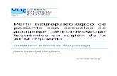 Perfil neuropsicológico de paciente con secuelas de ...openaccess.uoc.edu/webapps/o2/bitstream/10609/... · arteriografía cerebral (Panangiografía) practicada en octubre de 2016
