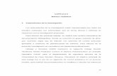 CAPÍTULO II I. MARCO TEÓRICO 1. Antecedentes de la Investigaciónvirtual.urbe.edu/tesispub/0093996/cap02.pdf · 2012-11-08 · de la aplicación de dicha estrategia en procesos