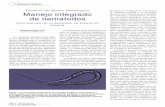 Meloidogyne Manejo integrado nematodos · activo a temperaturas del suelo inferiores a los 15°C. Las especies del género Meloidogyne constituyen el principal problema nemato-lógico