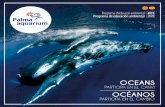 Ven a Palma Aquarium ¡El acuario de Palma de …...atrapada en plásticos y basura con la ayuda de sus amigos marinos. Objetivos pedagógicos: · Conocer características de las ballenas