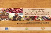 AMECA informe final · 2007-04-11 · AMECA Áreas de Manejo Especial para la Conservación de la Agrobiodiversidad Bases Técnicas para su Reconocimiento Oficial MSc. Marco Chevarria
