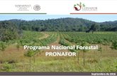Programa Nacional Forestal PRONAFOR...VISIÓN DE LA CONAFOR Generador de riqueza. Con ecosistemas saludables y resilientes al cambio climático. Protector de la riqueza biológica.