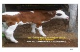 EL USO DE LA GENÉTICA DE CARNE EN EL · genético de los toros lecheros en la determinación del beneficio económico del uso de semen sexado en vacas lecheras. En la ocasión, se