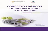 Tema 1:Maquetación 1 12/03/13 17:21 Página 1formacion.sefh.es/dpc/sefh-curso-nutricion/curso...Tema 1 - Digestón de nutrientes < CONCEPTOS BÁSICOS DE METABOLISMO Y NUTRICIÓN Digesión