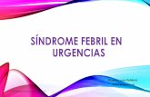 SÍNDROME FEBRIL EN URGENCIAS - Área Salud Badajoz · SÍNDROME FEBRIL EN URGENCIAS Milagros Lucas Gutiérrez Médico de Urgencias HIC &XUVRGH8UJHQFLDVSDUDUHVLGHQWHV %DGDMR] PD\R
