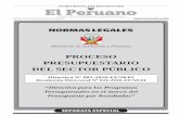 PROCESO PRESUPUESTARIO DEL SECTOR PÚBLICO · 2019-03-11 · General del Sistema Nacional de Presupuesto, se dispone que la Dirección General de Presupuesto Público es el órgano