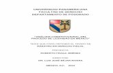 UNIVERSIDAD PANAMERICANA FACULTAD DE DERECHO …biblio.upmx.mx/tesis/128622.pdf · De tal modo, se analiza la forma en cómo se ha adecuado el proceso administrativo al sistema de