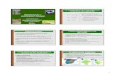 Planificación y certificación forestal - UPNA - home · 2014-12-13 · PLANIFICACIÓN FORESTAL EN NAVARRA: CIFRAS EVOLUCIÓN SUPERFICIE FORESTAL ORDENADA EN NAVARRA Entidades Locales