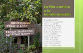 La Pita camino a la transformación - ASDENICagroecologia2014.asdenic.org/pdf/ppt26.pdf · Contexto y Ecosistema Ubicada a 5 km del municipio San Ramón, a 750 msnm Habitantes: 45