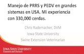 Manejo de PRRS y PEDV en grandes sistemas en …...Manejo de PRRS y PEDV en grandes sistemas en USA. Mi experiencia con 330,000 cerdas. Chris Rademacher, DVM Iowa State University