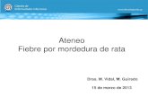 Ateneo Fiebre por mordedura de rata · 2013-05-06 · mordedura de roedores con antibióticos. • Medidas generales deberían ser: –Evitar el contacto con animales infectados.