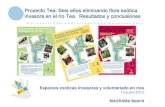 Proxecto Tea: Seis años eliminando flora exótica invasora ...€¦ · Especies exóticas invasoras y voluntariado en ríos 12-julio-2012 MAGRAMA Madrid Proxecto Tea: Seis años