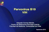 Parvovirus B19 VIH - CERPO · •Presentación 75% entre las 2 y 8 semanas post infección. •Sobrevida fetal •30% sin tratamiento •80 a 85% con tratamiento •Descrito retraso