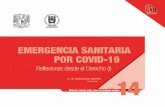 EMERGENCIA SANITARIA POR · de salud pública de carácter no farmacéutico adoptadas frente a la pandemia del coronavirus (SARS-CoV-2), a partir de la inherente tensión entre libertades
