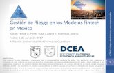 Gestión de Riesgo en los Modelos Fintech en México · crecimiento en América Latina no sea tan acelerado en otros segmentos del sector FinTech. •Debido a las distintas regulaciones