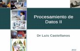 Procesamiento de Datos II - Blog de Luis Castellanos · Procesamiento de Datos II 4 Procesamiento de Datos II •Datos –Datos son los hechos que describen sucesos y entidades. –Los