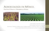 AGROECOLOGÍA EN MÉXICO - PP-ALPresentacion+Mexico.pdf · México: propiedad y uso o 2 200 millones de hectáreas terrestres 20 millones de hectáreas agrícolas 6.4 millones de