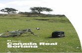 Cañada Real Sorianaadesalambrar.com/caminos/villaviciosa/Ruta03CanadaReal.pdf · 1871, hoy en desuso, la vía fé-rrea Córdoba-Almorchón, sobre lo que hay interesantes ideas de