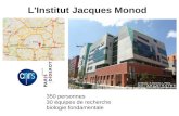 L'Institut Jacques Monod - vorgogoz/BioInfoCourses/2018-10-IJM-BioInf… · ePole of GenoInformatics Fabien Fauchereau +in Paris7 : Svetlana GRIBKOVA Séverine LEIDWANGER Michel PETITJEAN