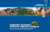 NUESTRO BOSQUE enfrenta algunos peligros€¦ · de Ecosistemas Forestales Andinos en las áreas geográficas priorizadas en cada país. 3 NUESTRO BOSQUE ENFRENTA ALGUNOS PELIGROS
