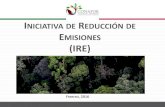 Presentación de PowerPoint - gob.mx · 2019-04-18 · Envío de la invitación para presentar expresiones de interés: • La CONAFOR y los Gobiernos de los estados de Yucatán,