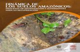 DINÁMICA DE LOS PROCESOS DE...Dinámica de los suelos amazónicos: Procesos de degradación y alternativas para su recuperación. Clara Patricia Peña-Venegas, Gladys Inés Vanegas