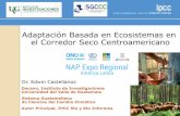 Adaptación Basada en Ecosistemas en el Corredor Seco ...napexpo.org/america-latina/wp-content/uploads/2018/... · Adaptación basada en ecosistemas (AbE) Políticas y prácticas