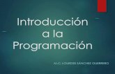 Introducción a la Programaciónaniei.org.mx/paginas/uam/Descargas/Recursos/introduccion_programacion...Introducción a la Programación Un algoritmo es un método para resolver un