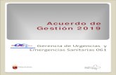 Acuerdo de Gestión 2019 - MurciaSalud · Acuerdo de Gestión 2019 Gerencia de Urgencias y Emergencias Sanitarias 061 . ... dotándolo de la adecuada organización de los servicios