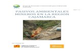 PASIVOS AMBIENTALES MINEROS EN LA REGION CAJAMARCAgrufides.org/sites/default/files/documentos/documentos/[V4.0] Informe - Pasivos...Tabla 13: Características de los Pasivos Ambientales